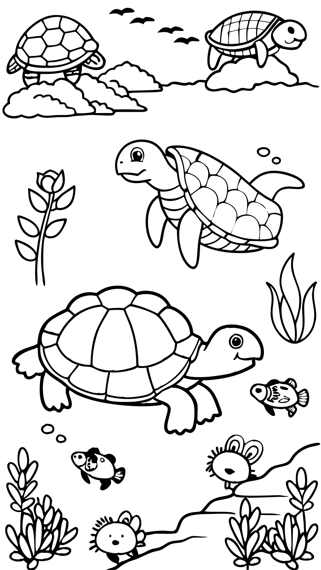 pages à colorier tortues